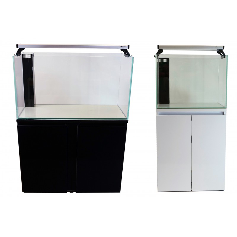 Pro 65 GAL 40x18x22 Low Iron Glass, Black Stand