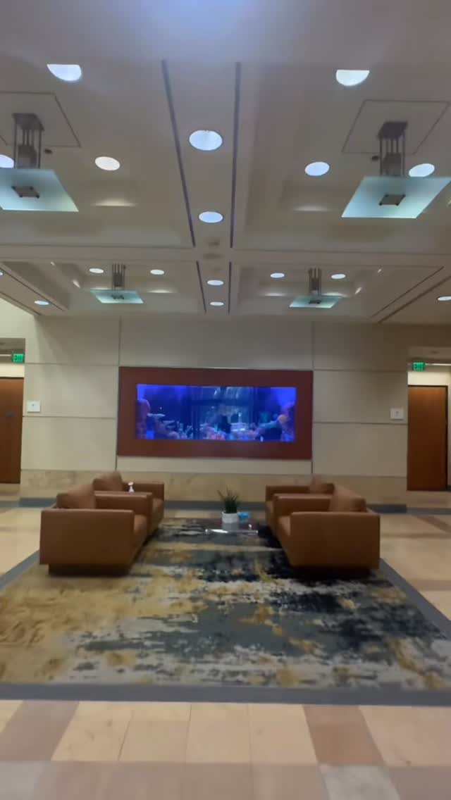 Shark tank is up and running
