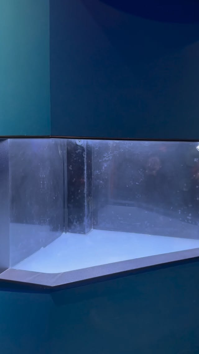 Aquarium restoration services