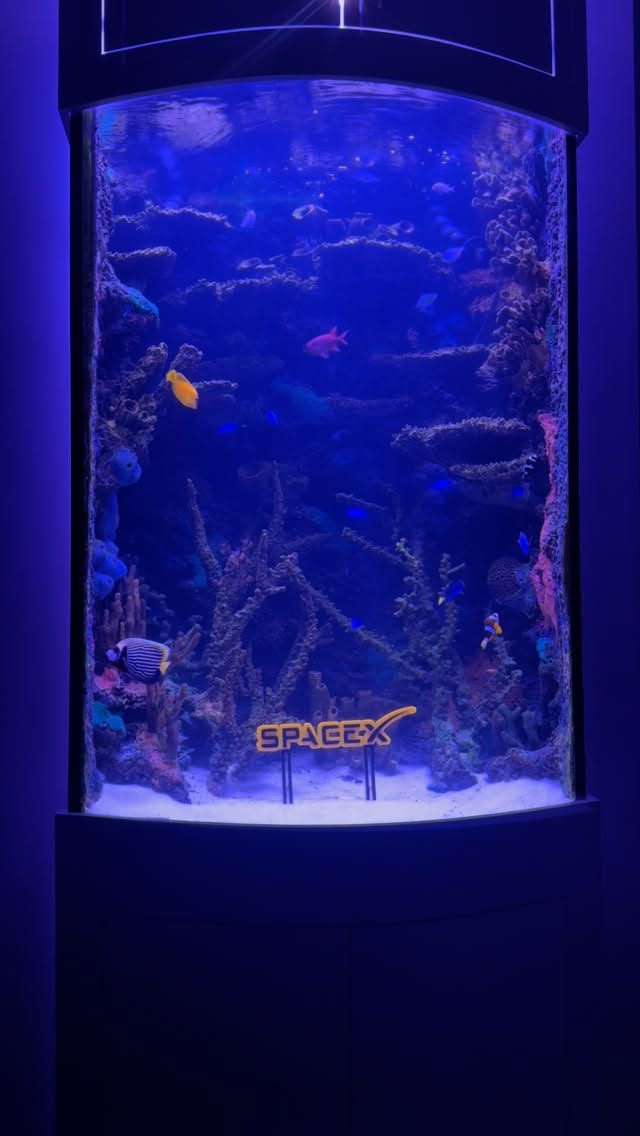 300 gallon aquarium done for SpaceX