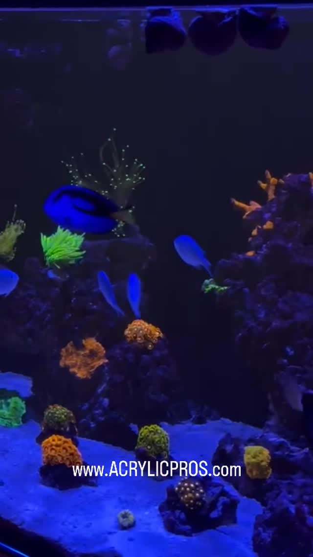 The 240g Starphire glass setup looking amazing