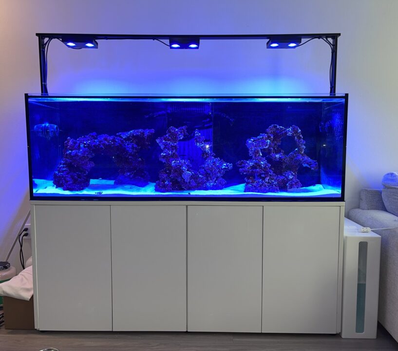 A freestanding reef aquarium on a white stand with a black LED bar.