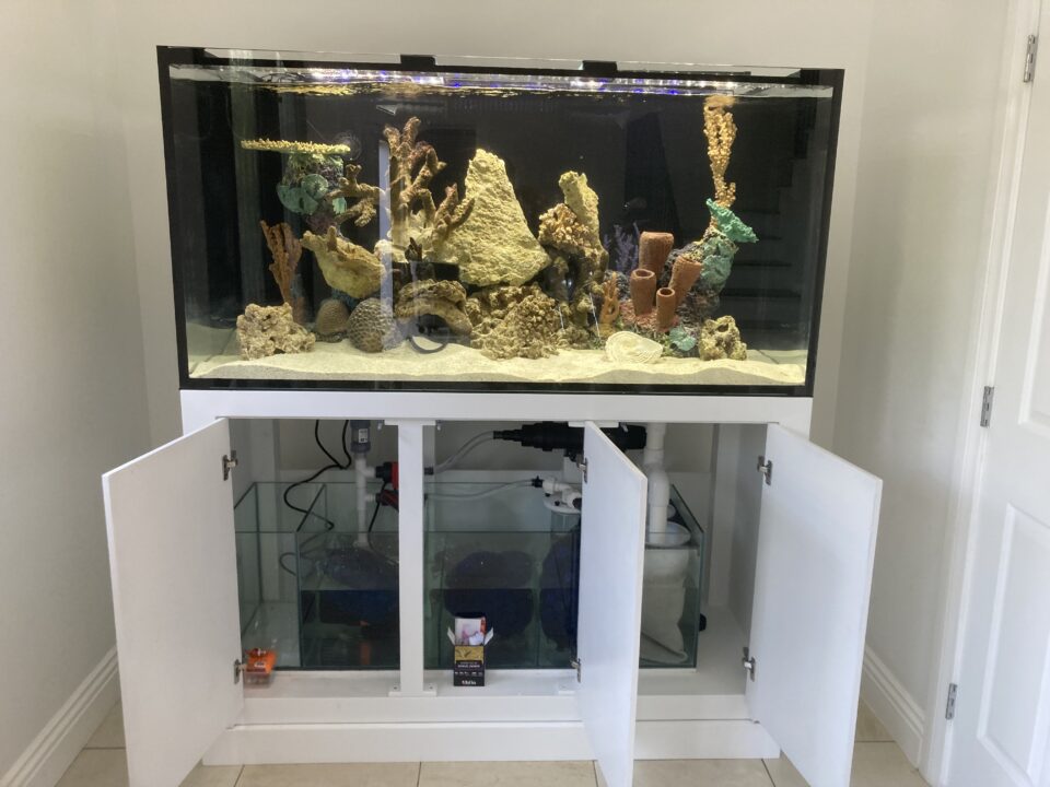 A reef aquarium with its cabinet doors open, showing the sump beneath.