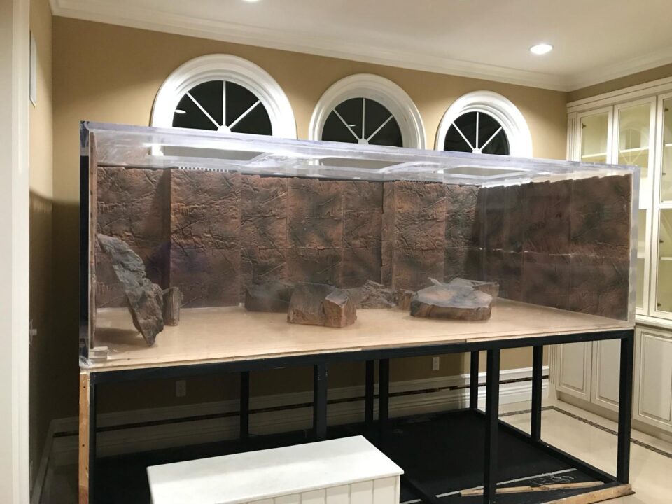 A large acrylic aquarium with a rock-textured background on a steel stand, beneath arched windows.