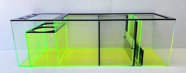 REF# S128 - Neon Green/Black/Clear Sump, photo 2