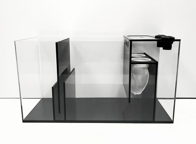 REF# S130 - Black and Clear Sump