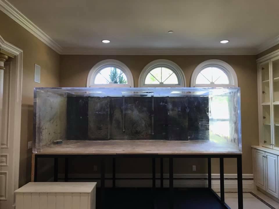An empty acrylic aquarium with hazy panels on a steel stand, beneath arched windows.