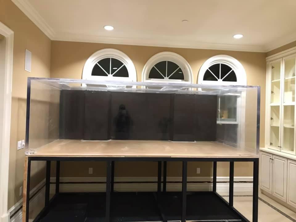 The same empty aquarium with clear panels, on its steel stand beneath arched windows.