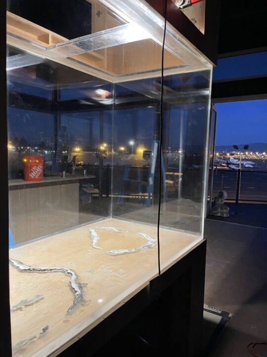 After: the same corner aquarium, clear enough to see the windows behind it.