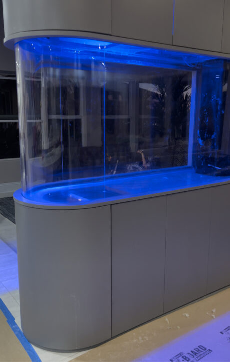 An empty curved-front acrylic aquarium lit blue, set into grey cabinetry.