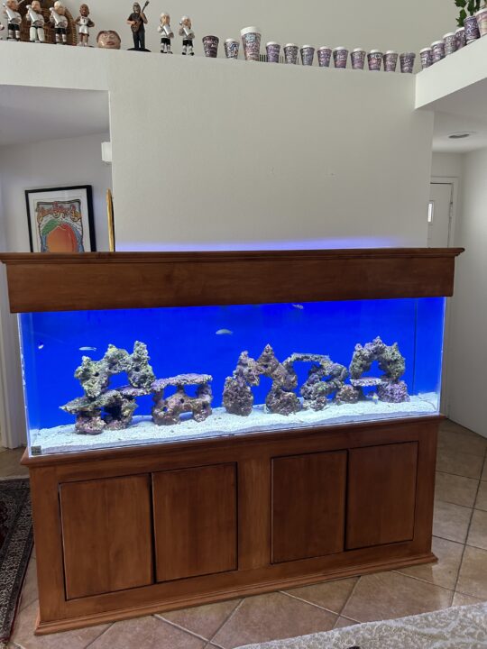 After: an acrylic aquarium with clear panels, blue lighting and rockwork on a wooden cabinet.