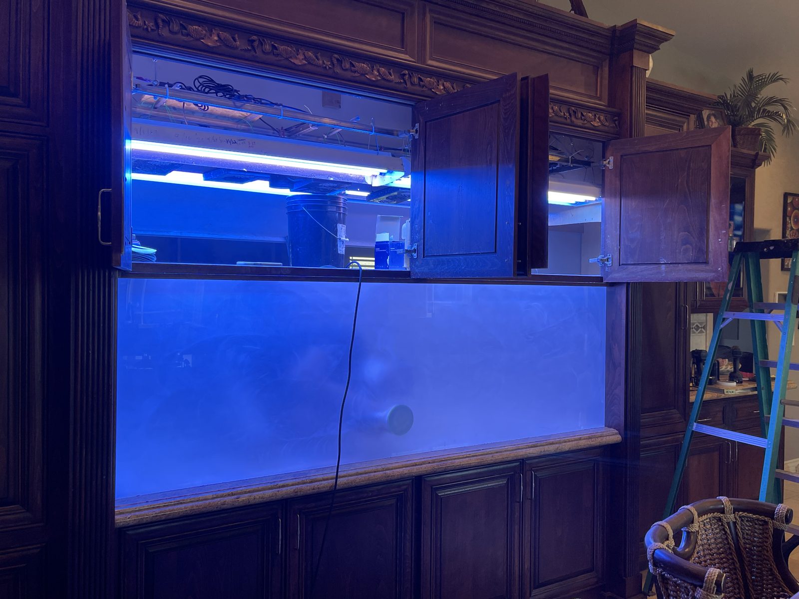 Before: a large in-wall aquarium in dark wood cabinetry, its front panel clouded white with scratches.