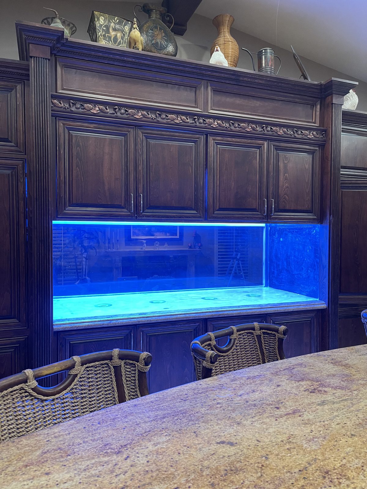 After: the same aquarium with a crystal-clear front panel, lit blue.