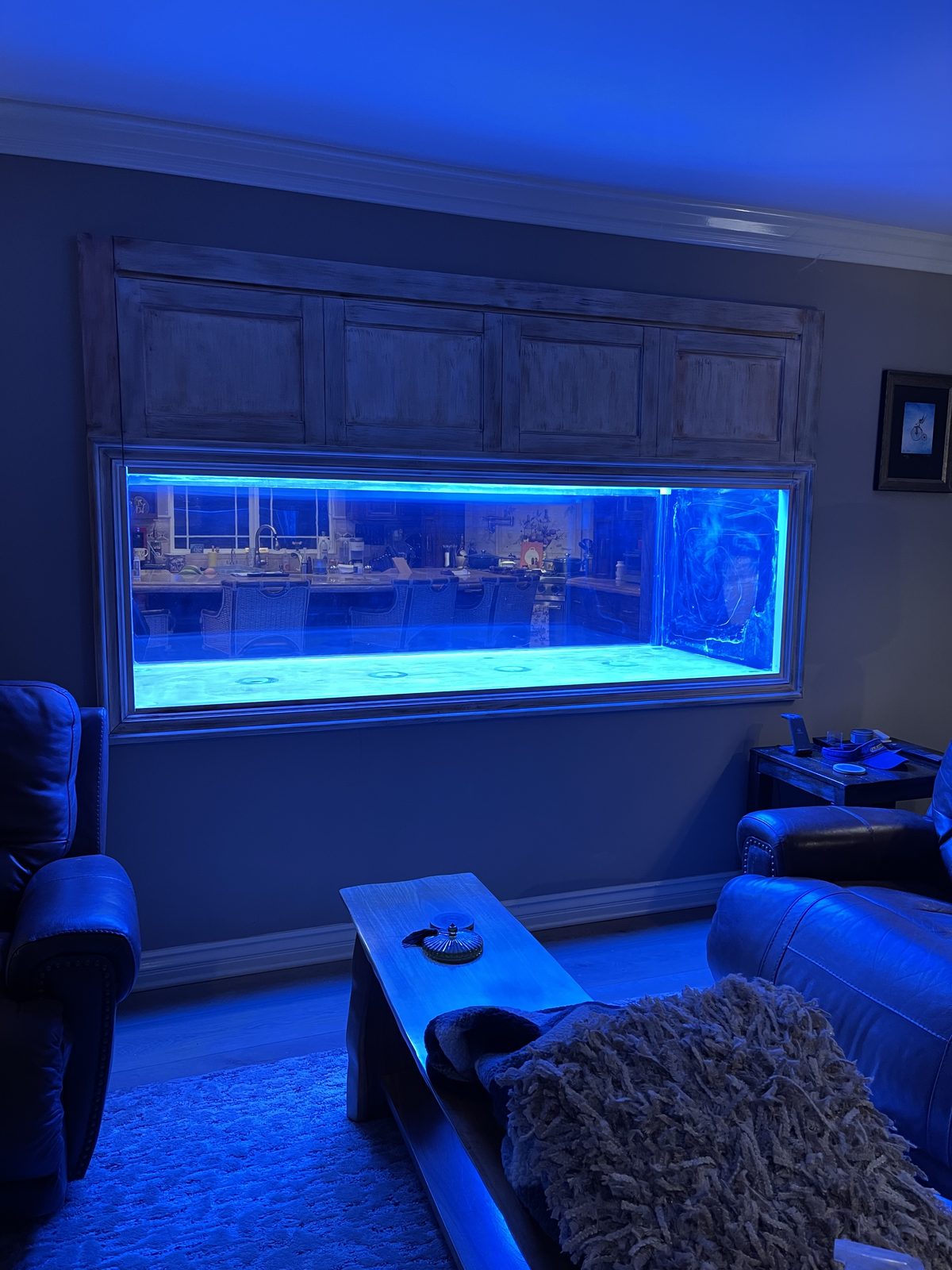 After: the same side, the aquarium clear and lit blue.