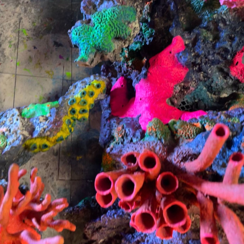 A close-up of brightly painted artificial coral in pink, green, yellow and orange.